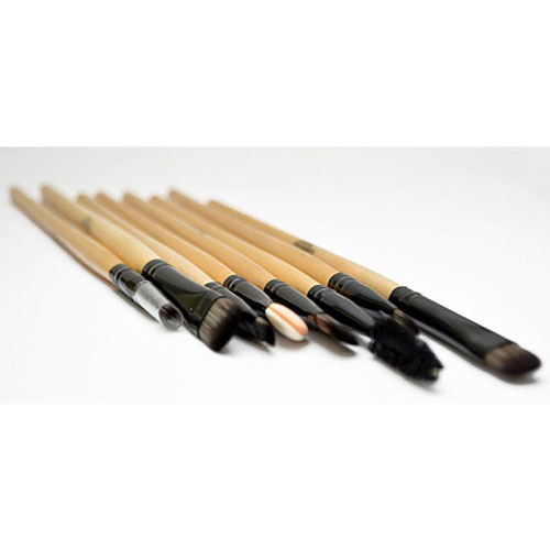 Glamorous Face Usa 12 Pc Professional Brush Kit 